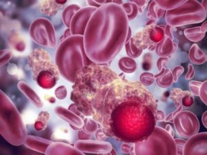 Cientistas Usam Imãs Para Remover Doenças Do Sangue Blog Contabily Contabilidade - Contabilidade em Brusque - SC | Contabily
