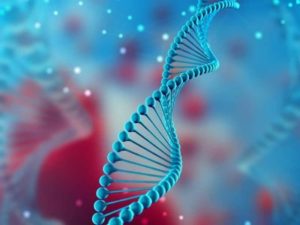 Médicos Combatem Câncer Com Edição Genética Pela Primeira Vez Nos Eua Blog Contabily Contabilidade - Contabilidade em Brusque - SC  | Contabily