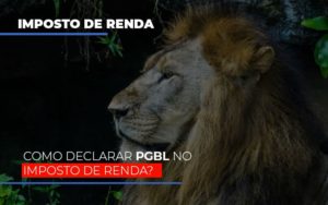 Ir2020:como Declarar Pgbl No Imposto De Renda - Contabilidade em Brusque - SC | Contabily