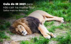Guia Ir 2021 Para Nao Cair Na Malha Fina Saiba Mais Na Descricao Post 1 Notícias E Artigos Contábeis Em Joinville Sc | Contabily Contabilidade - Contabilidade em Brusque - SC | Contabily