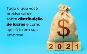 Tudo O Que Voce Precisa Saber Sobre Distribuicao De Lucros E Como Aplicalo Em Sua Empresa Blog 1 - Contabilidade em Brusque - SC | Contabily